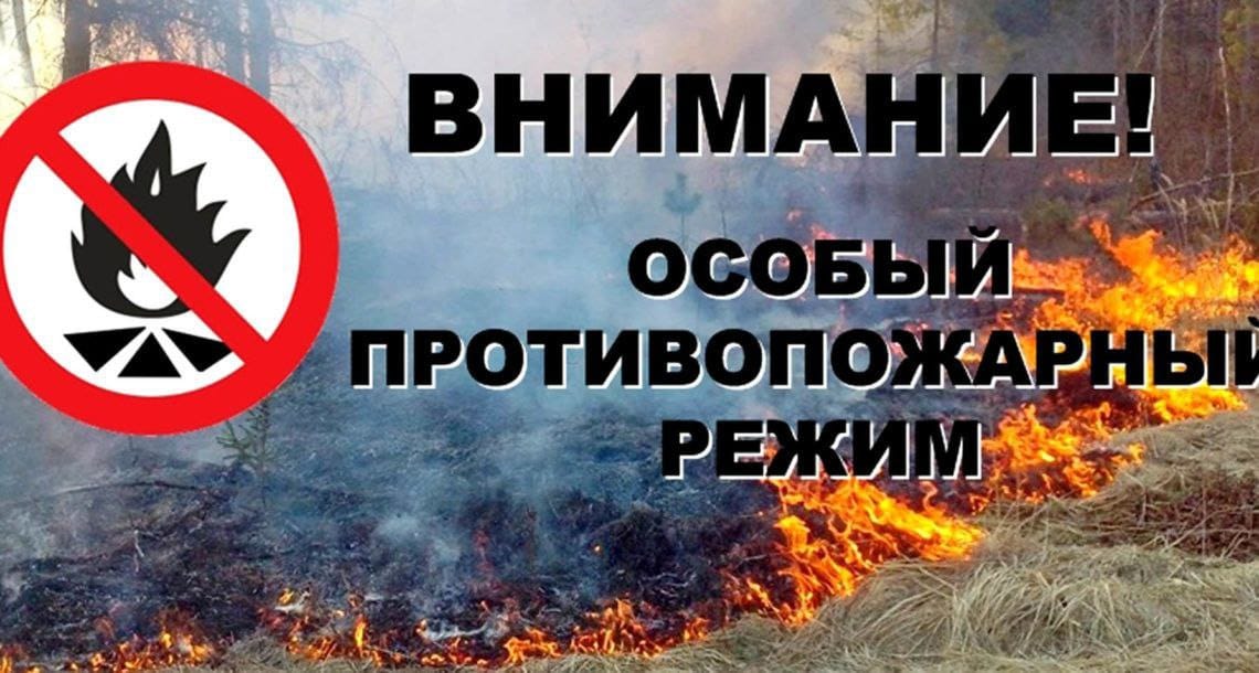 Укажите подпись к картинке.